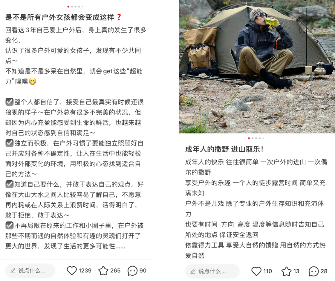 Chart showing outdoor equipment data and trends - figure 3