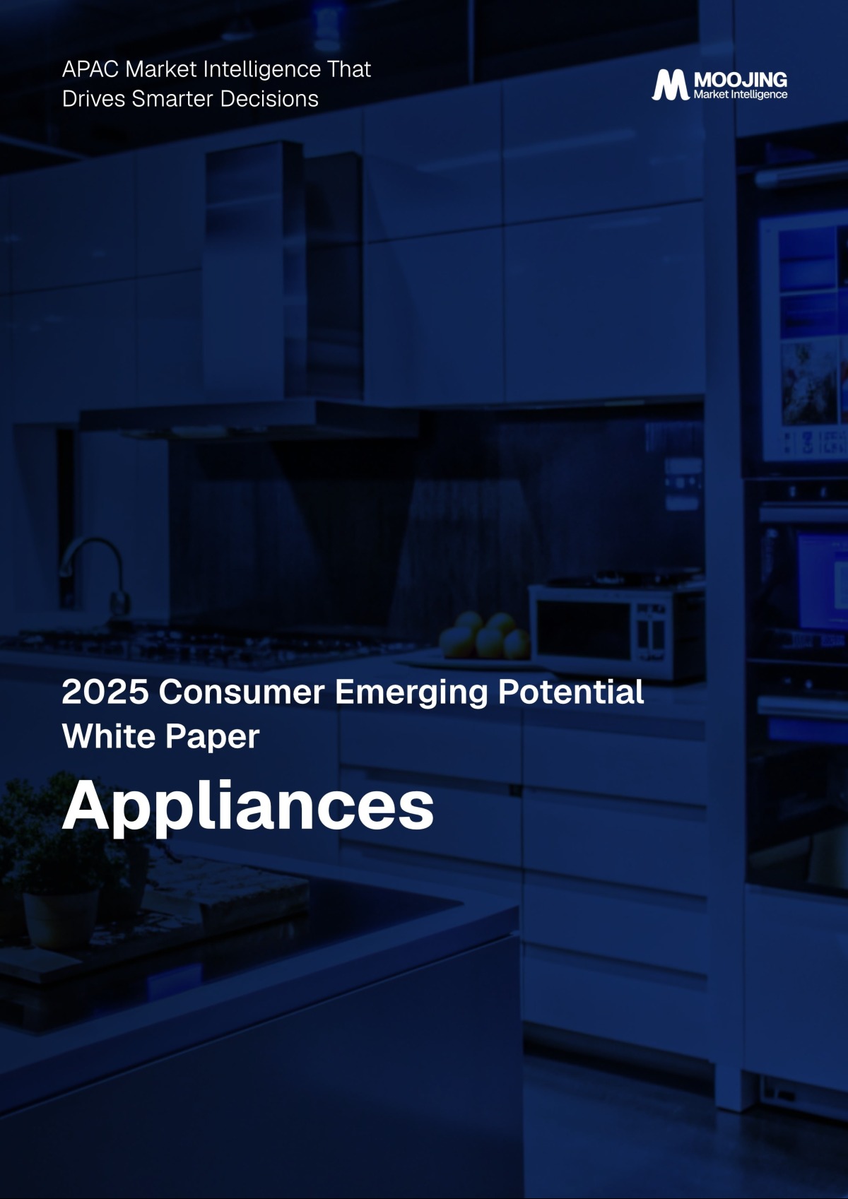 H1 2025 Market Analysis: China Appliances Industry Report cover