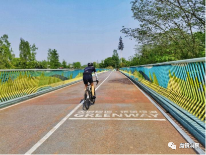 Chart showing bicycle market data and trends - figure 3